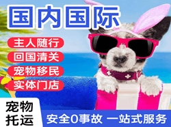 海拉尔空运公司国际宠物托运 【国